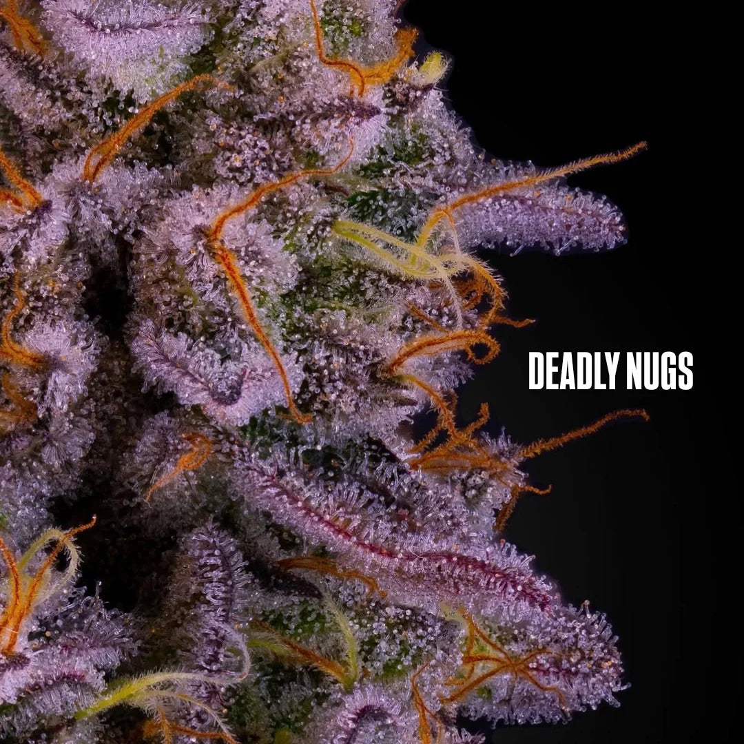 DEADLY NUGS cannabis inspired graphic t-shirts
