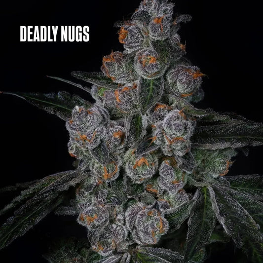 DEADLY NUGS cannabis inspired graphic tees