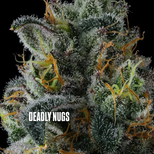 DEADLY NUGS cannabis inspired graphic tshirts
