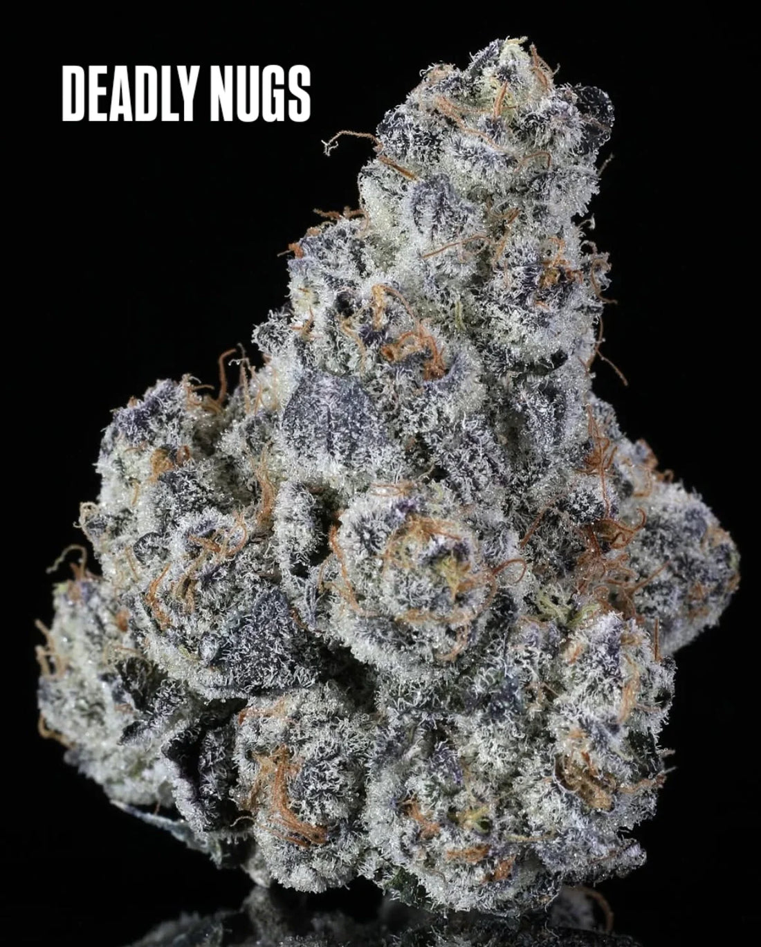 DEADLY NUGS cannabis inspired graphic tees