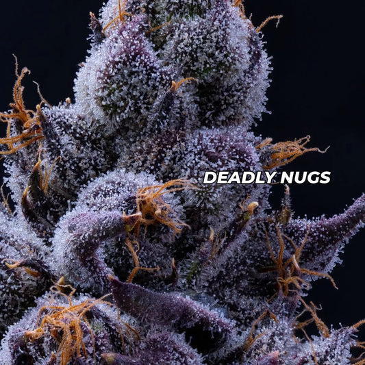 DEADLY NUGS cannabis inspired graphic tshirts