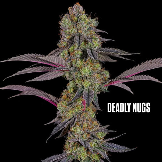 DEADLY NUGS Stoner Streetwear cannabis inspired graphic tees