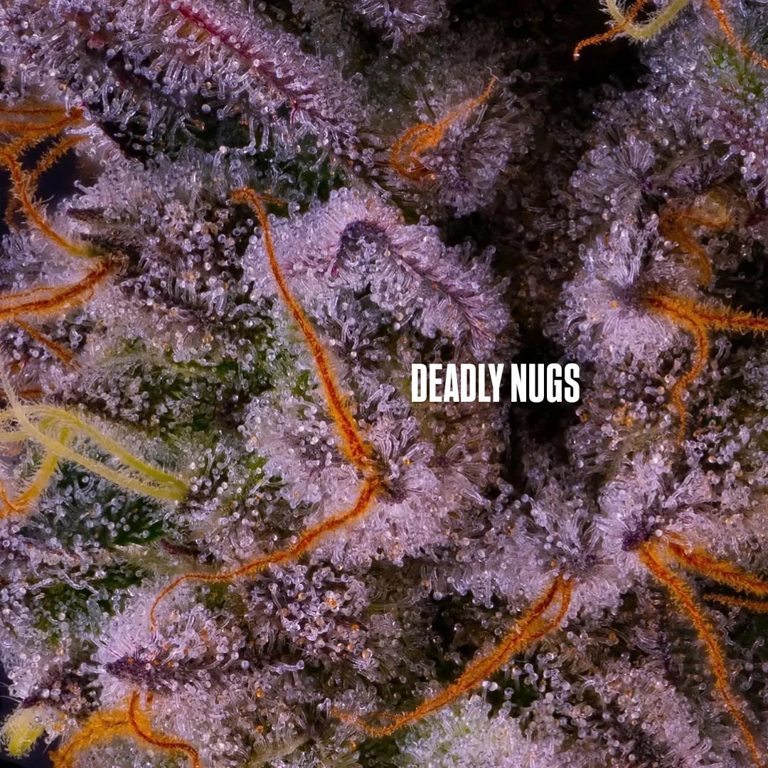 DEADLY NUGS 420 Underground Stoner Culture cannabis inspired graphic tees