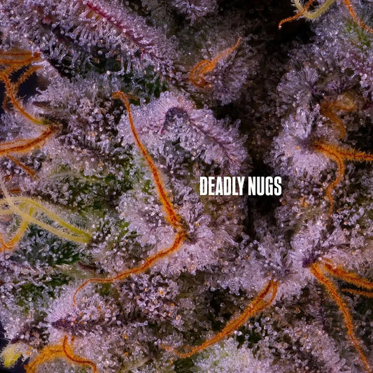 DEADLY NUGS 420 Underground Stoner Culture cannabis inspired graphic tees