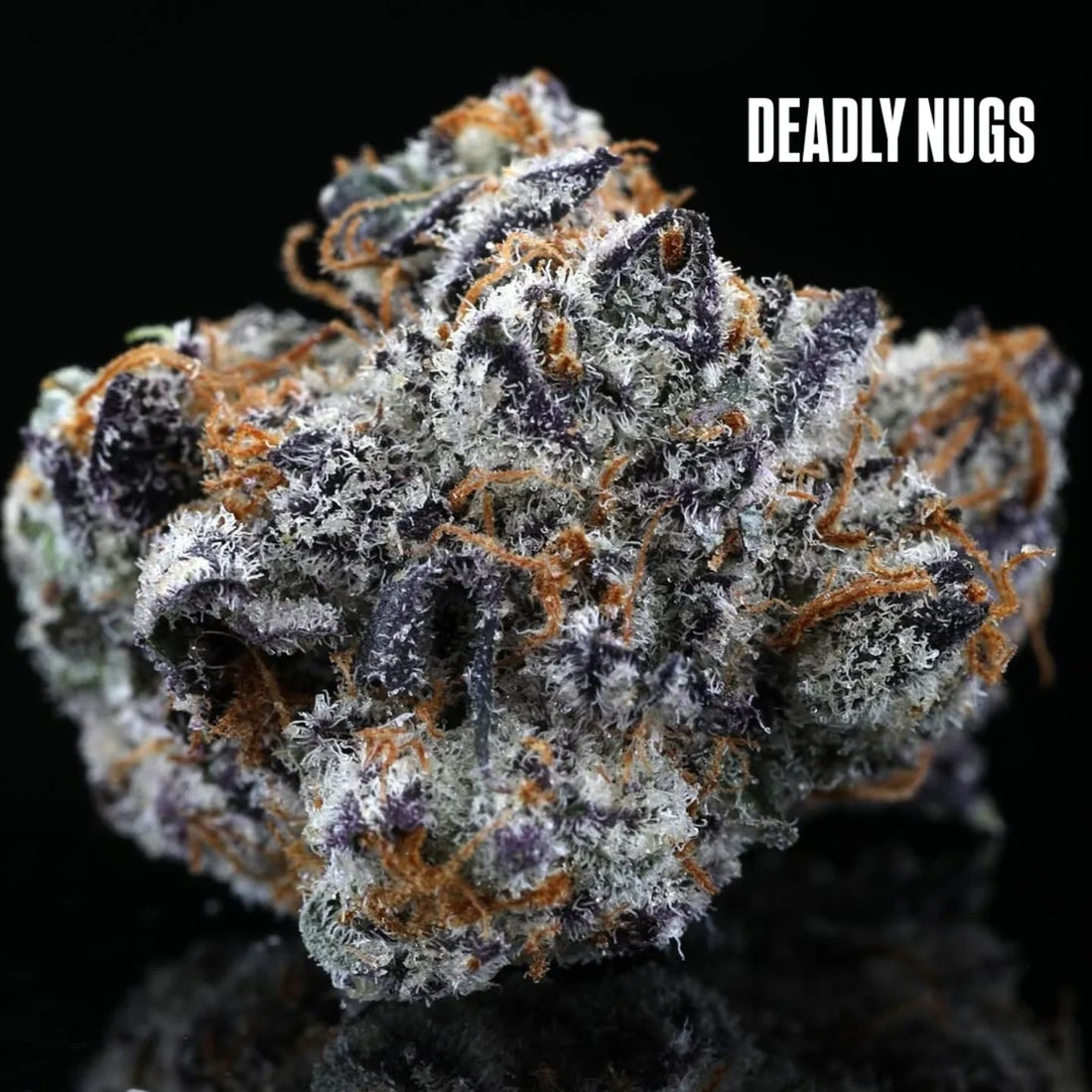 DEADLY NUGS 420 Underground Stoner Culture Cannabis Inspired Graphic Tees