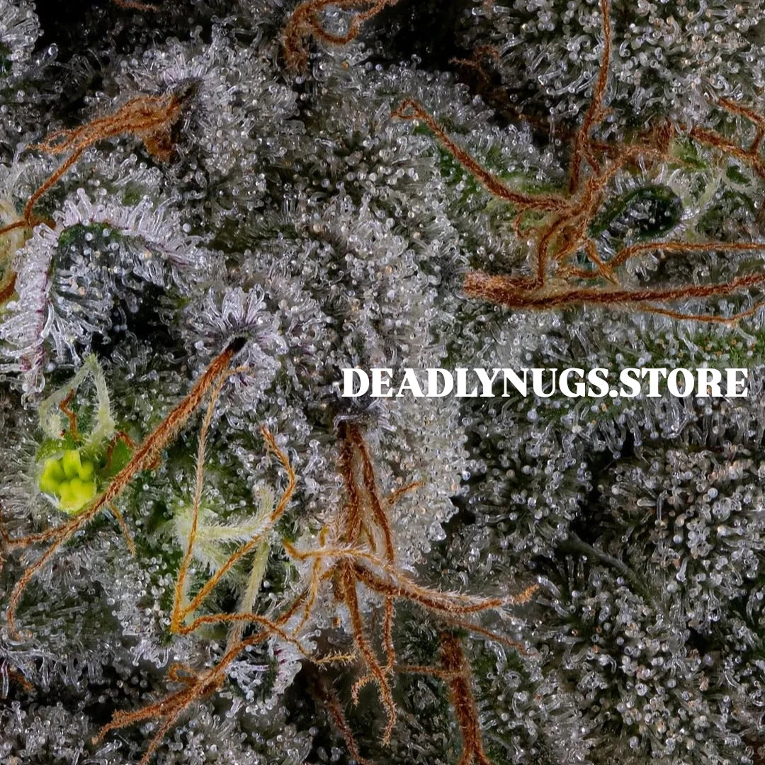 DEADLY NUGS 420 Underground Stoner Culture Cannabis Inspired Graphic Tees