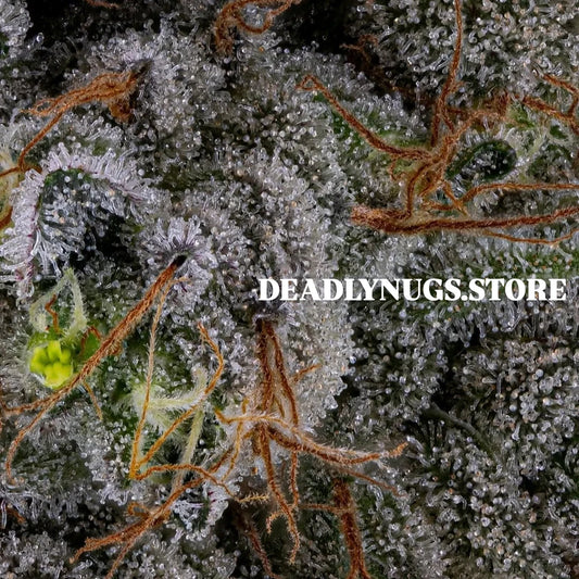 DEADLY NUGS 420 Underground Stoner Culture Cannabis Inspired Graphic Tees