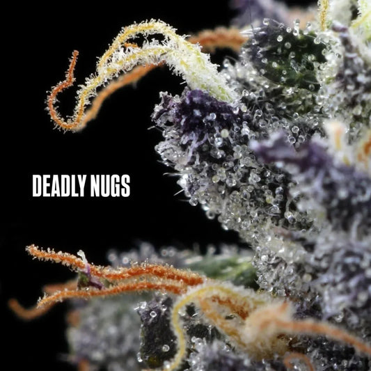 DEADLY NUGS 420 Underground Stoner Culture Cannabis Inspired Graphic Tees