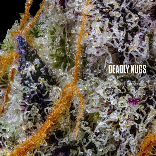 DEADLY NUGS 420 Underground Stoner Culture Cannabis Inspired Graphic Tees