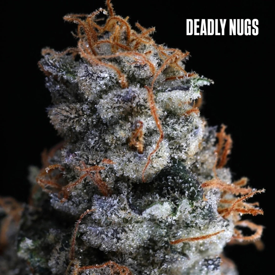 DEADLY NUGS 420 Underground Stoner Culture Cannabis Inspired Graphic Tees
