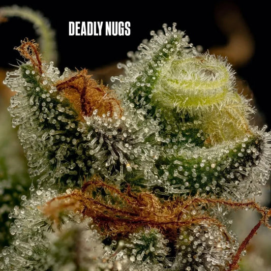 DEADLY NUGS 420 Underground Stoner Culture Cannabis Inspired Graphic Tees