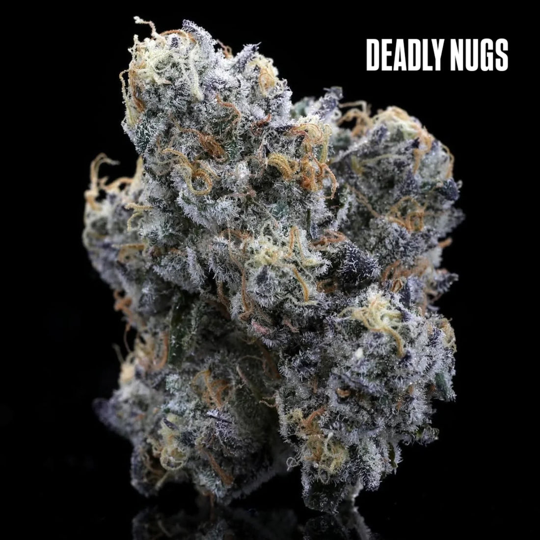 DEADLY NUGS 420 Underground Stoner Culture Cannabis Inspired Graphic Tees
