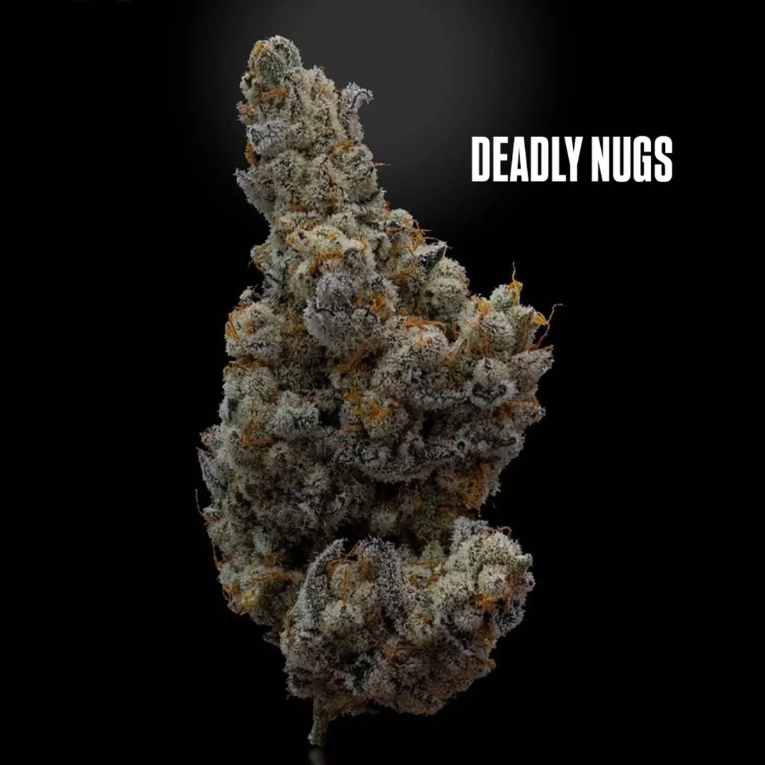 DEADLY NUGS 420 Underground Stoner Culture Cannabis Inspired Graphic Tees